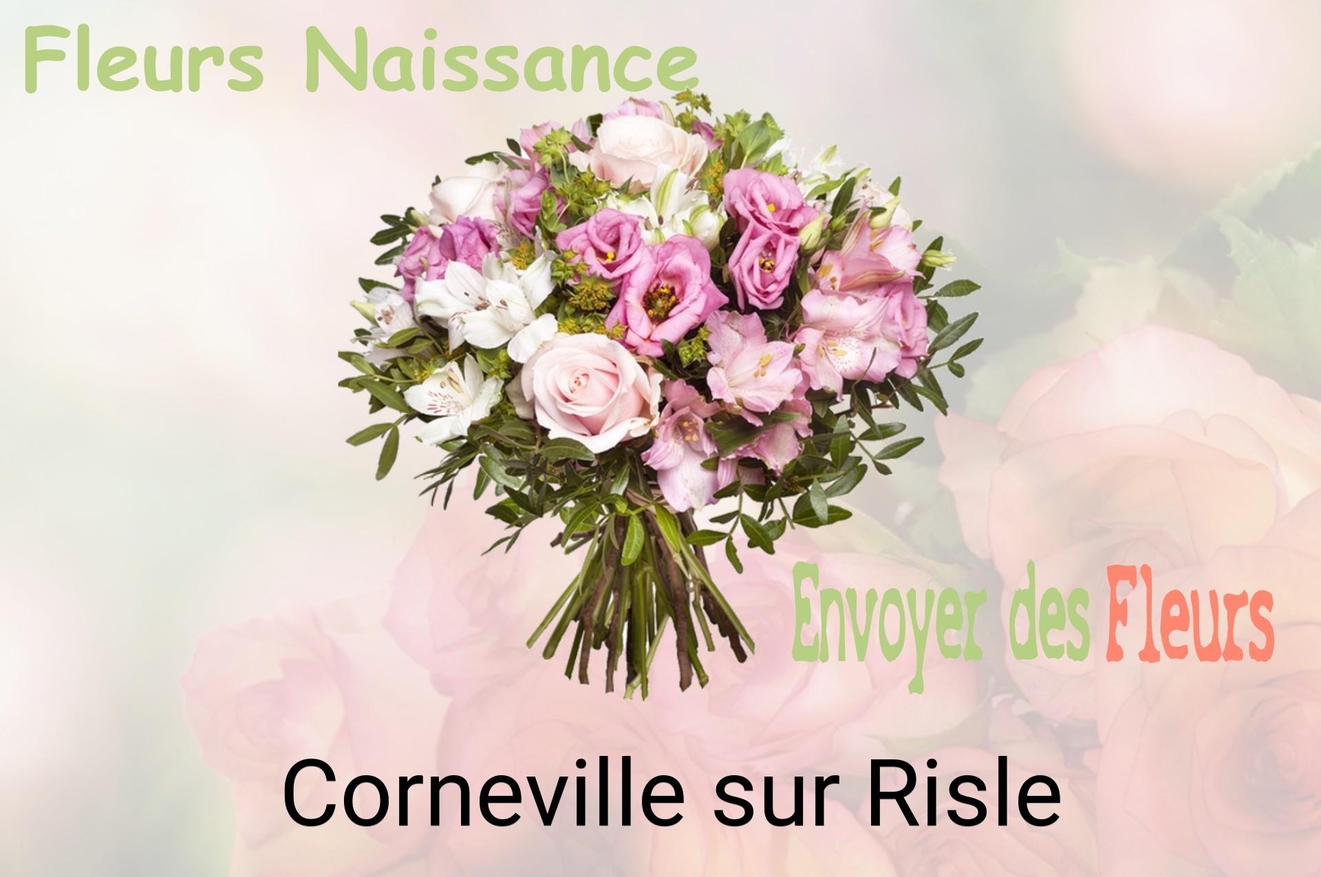 Bouquet de fleurs de naissance livré à Corneville-sur-Risle